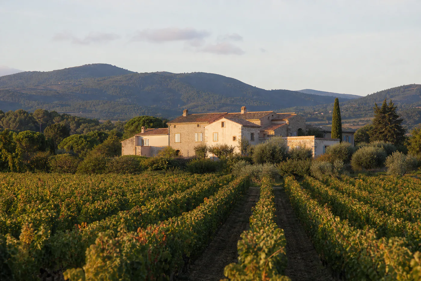 Illustrative scene of vineyards and a stone estate in the Aude countryside around Carcassonne.
